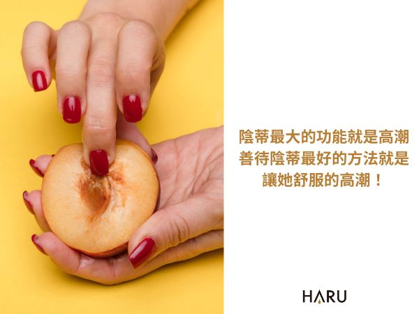 陰蒂最大的功能就是高潮